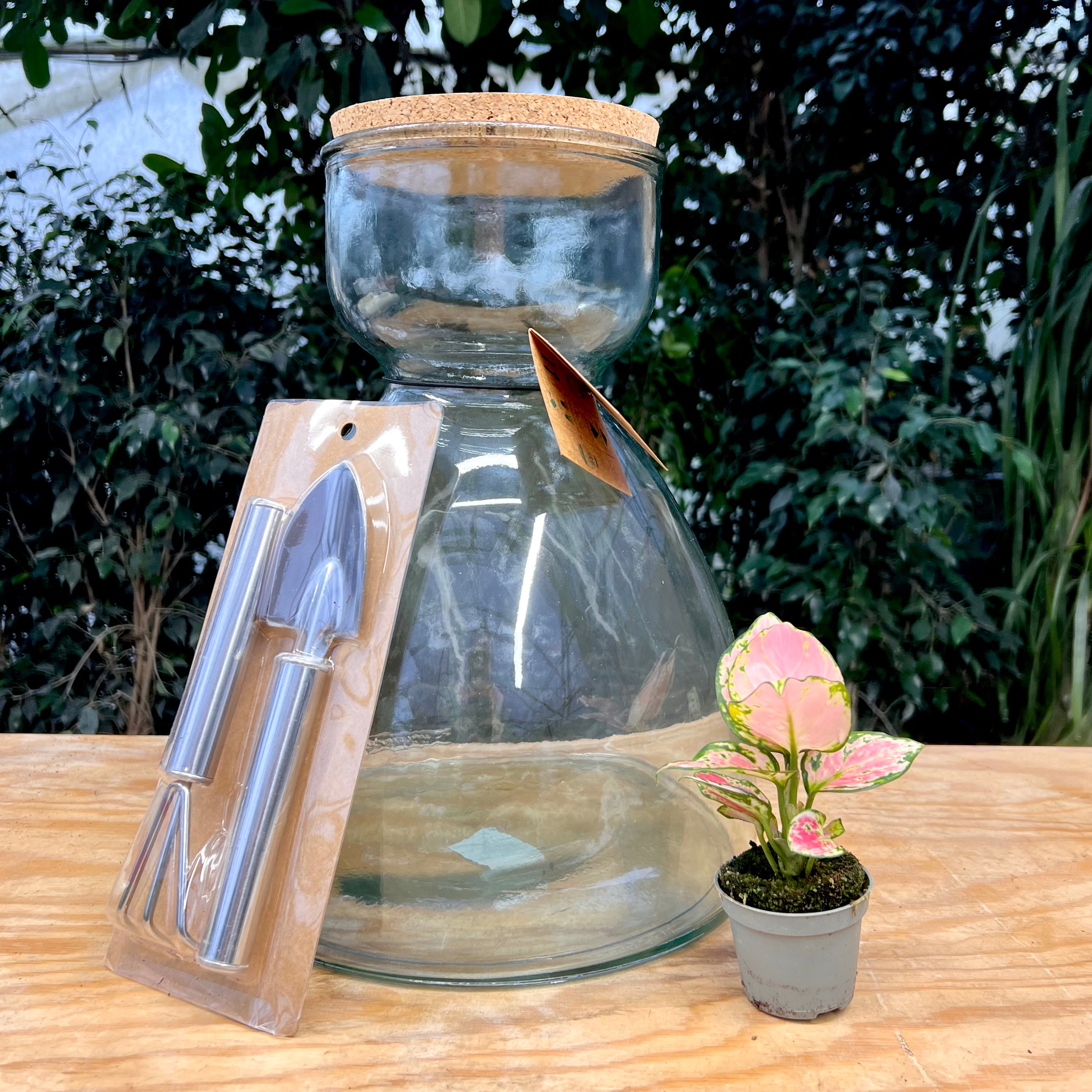 CONTENITORE TERRARIUM A CLESSIDRA CON ATTREZZI